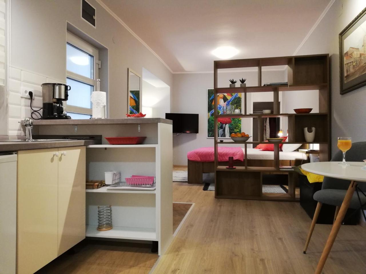 בלגרד Zemoon Apartment מראה חיצוני תמונה