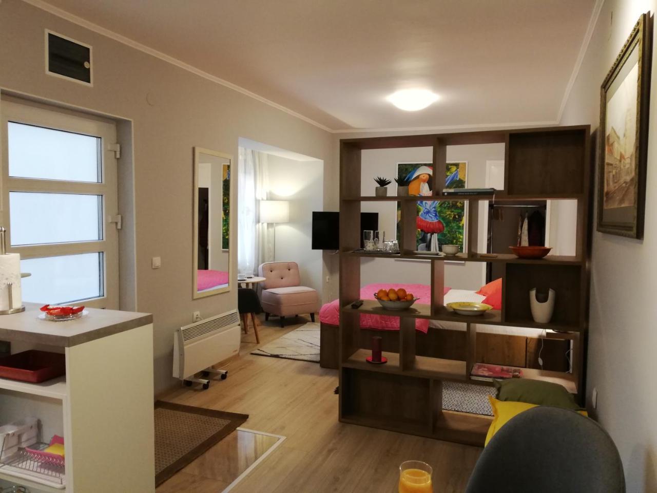 בלגרד Zemoon Apartment מראה חיצוני תמונה