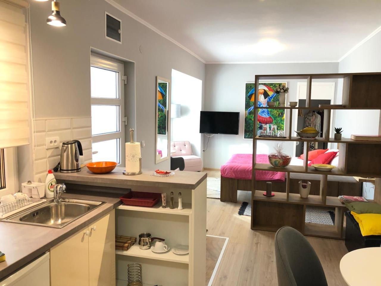 בלגרד Zemoon Apartment מראה חיצוני תמונה